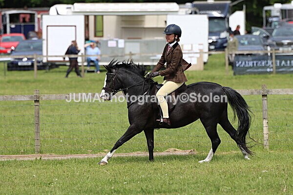 IMG_3199 - Working Hunter