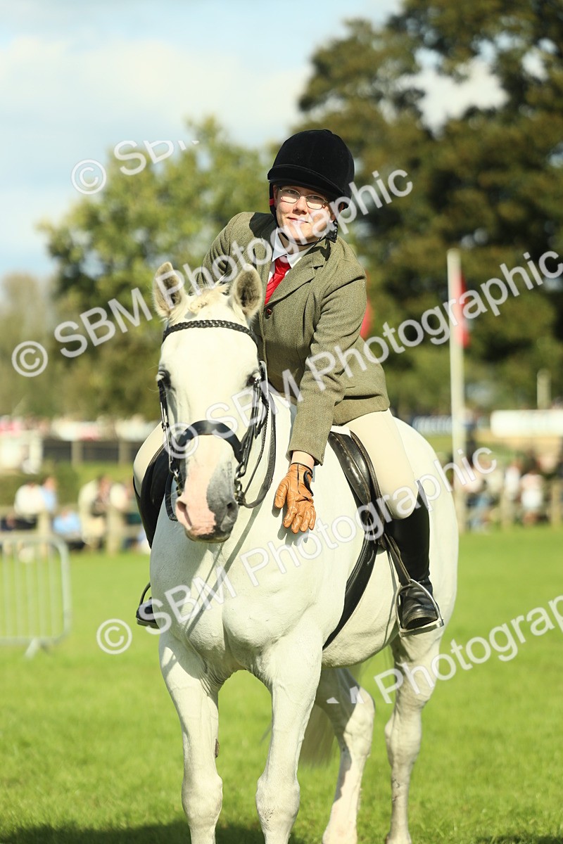 SBM_49910 - S32 - Novice & Newcomers Working Hunter
