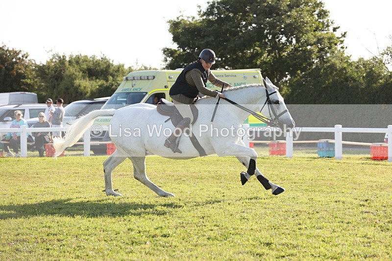 JPP_3360 - Class 22: Working Hunter 90cm