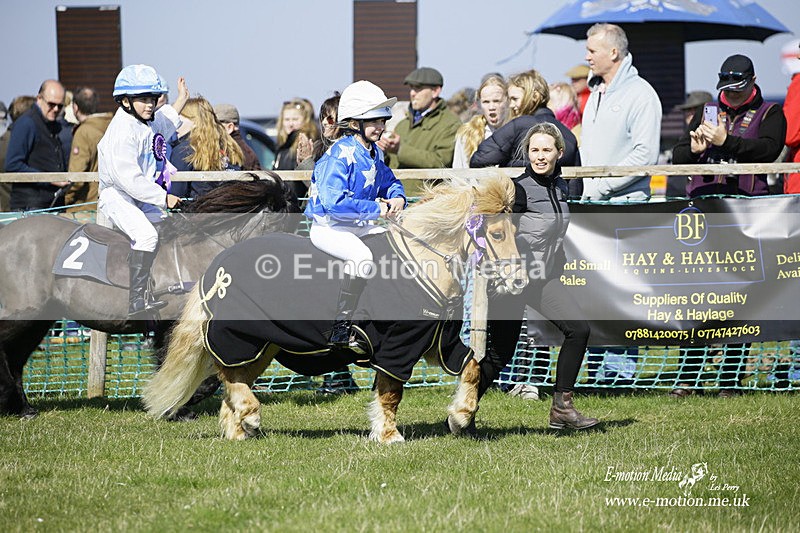 PtP 190322 115 - Wilton Hunt PtP Milborne St Andrew 19/03/22