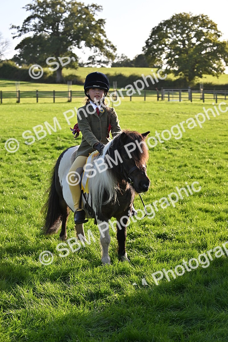 SBM_53085 - S23 - First Ridden Mountain & Moorland Pony