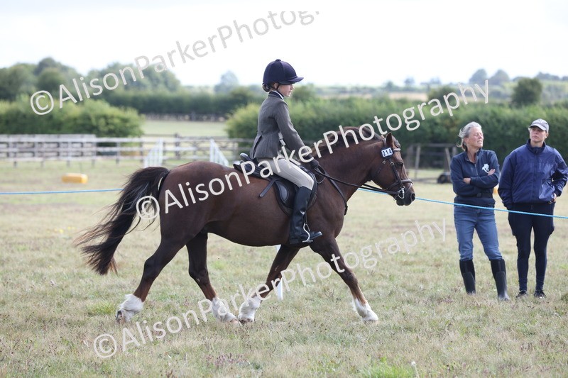 20250831-1247 - Class 15 - Ridden Veteran