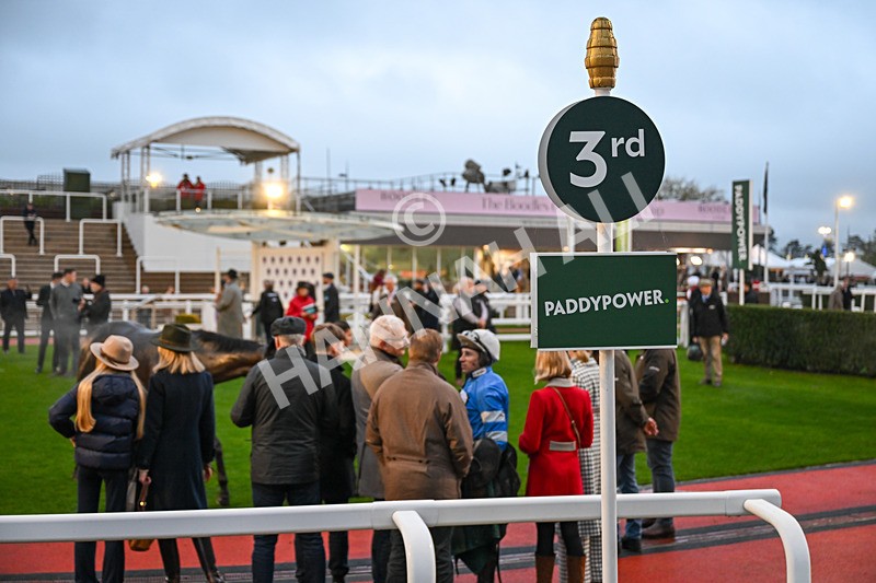 151125-Race 7-Divine Diva-4924 - Race 7