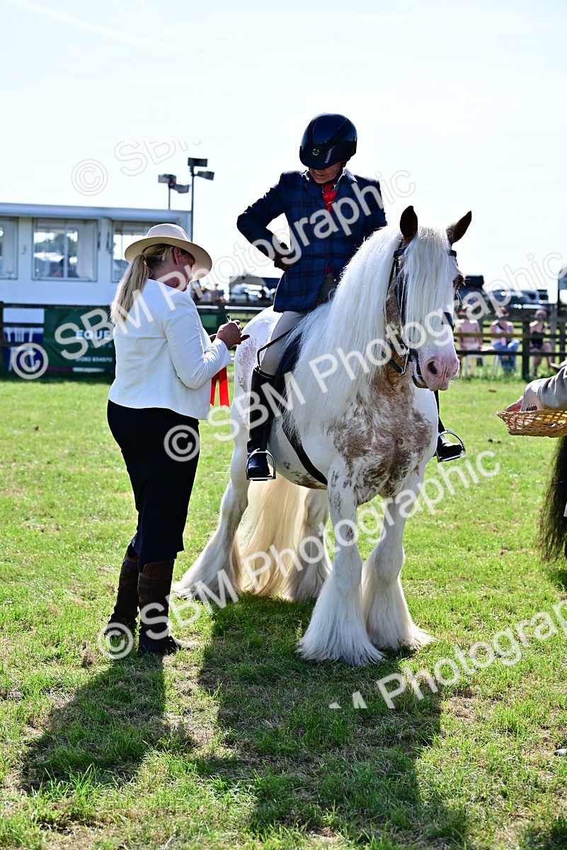 SBM_09416 - Class 63-65 - Traditional Gypsy Cobs In Hand & Ridden