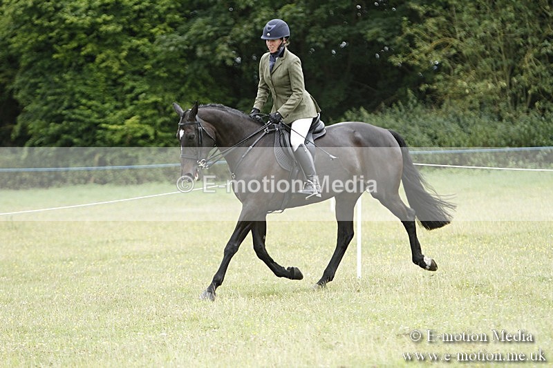 BVR160717-2198 - Ring 3 BVRC Show 16/07/17