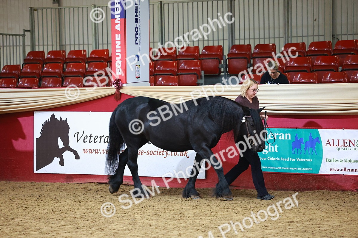 SBM_18386 - Class 903 - Sup Final - IH Pre Vet