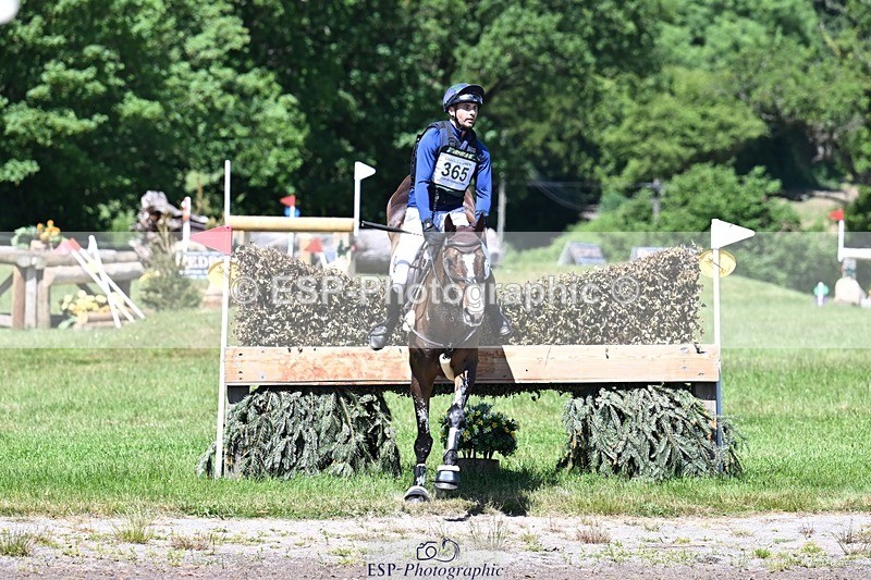 260530A-120210-14056 - C-365-Sam.Gillespie