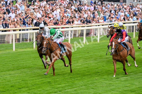 250725-Race 5-Sand Gazelle-0713 - Race 5 7.48pm British EBF Lyric Fillies' Stakes