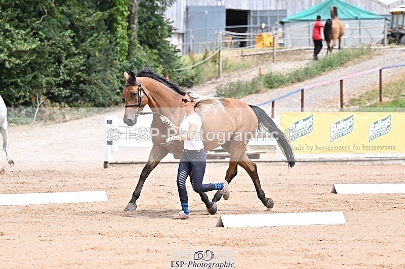 250716-130437-00308 - Trot Up 12.30 to 1.30