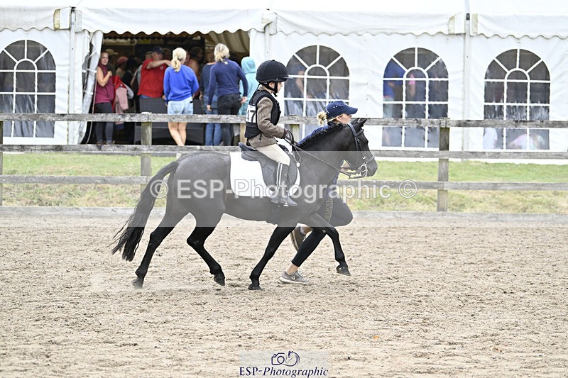 240822X-140337-08739 - 40cm LR R2 13.00 to 15.00