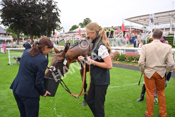 yr22072022r5-41 - Race 5 7.20pm British Stallion Studs EBF Lyric Fillies' Stakes