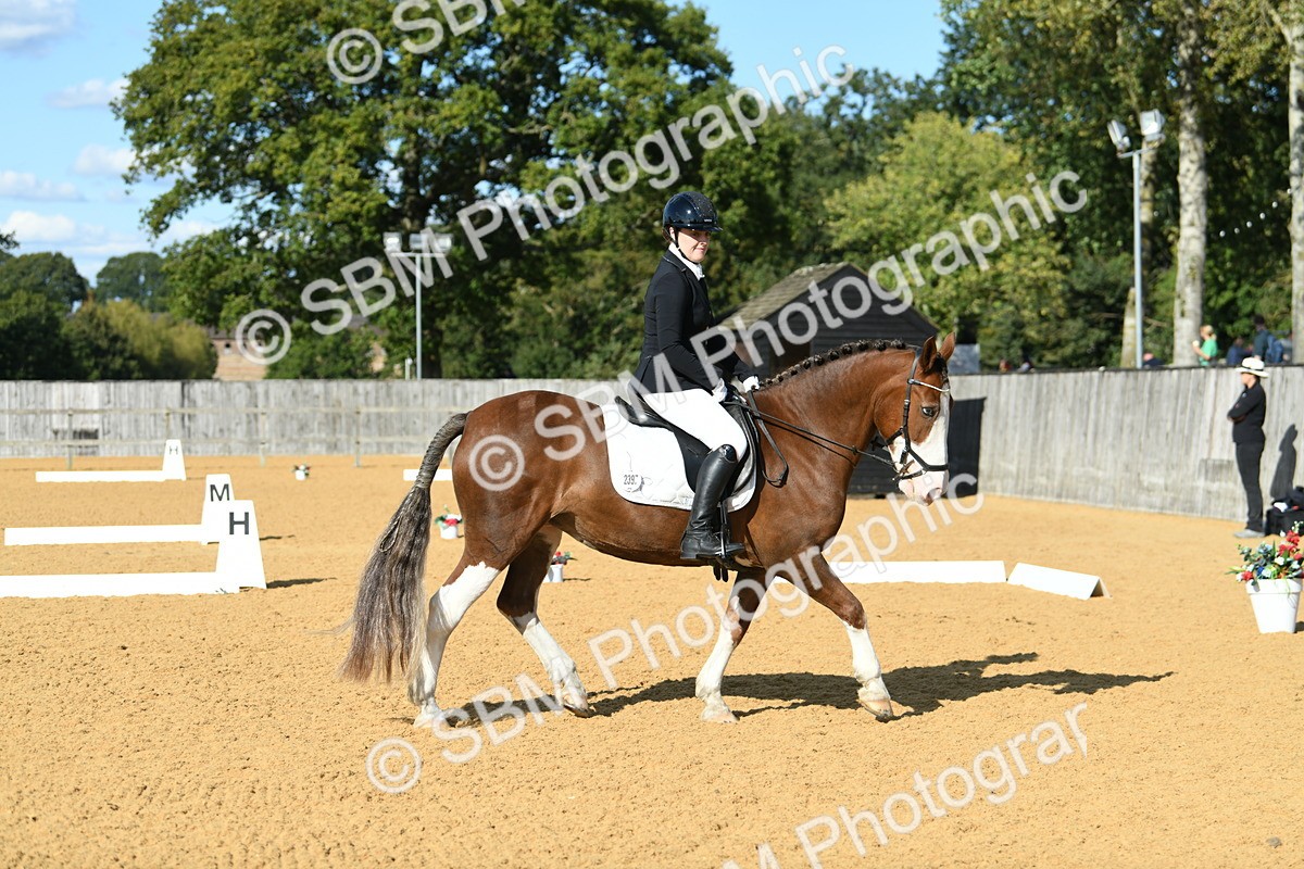 SBM_27087 - D16 - Small Tour Championship - Novice 28