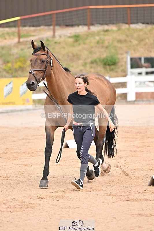 250716-150731-01654 - Trot Up 2.30 to 3.30