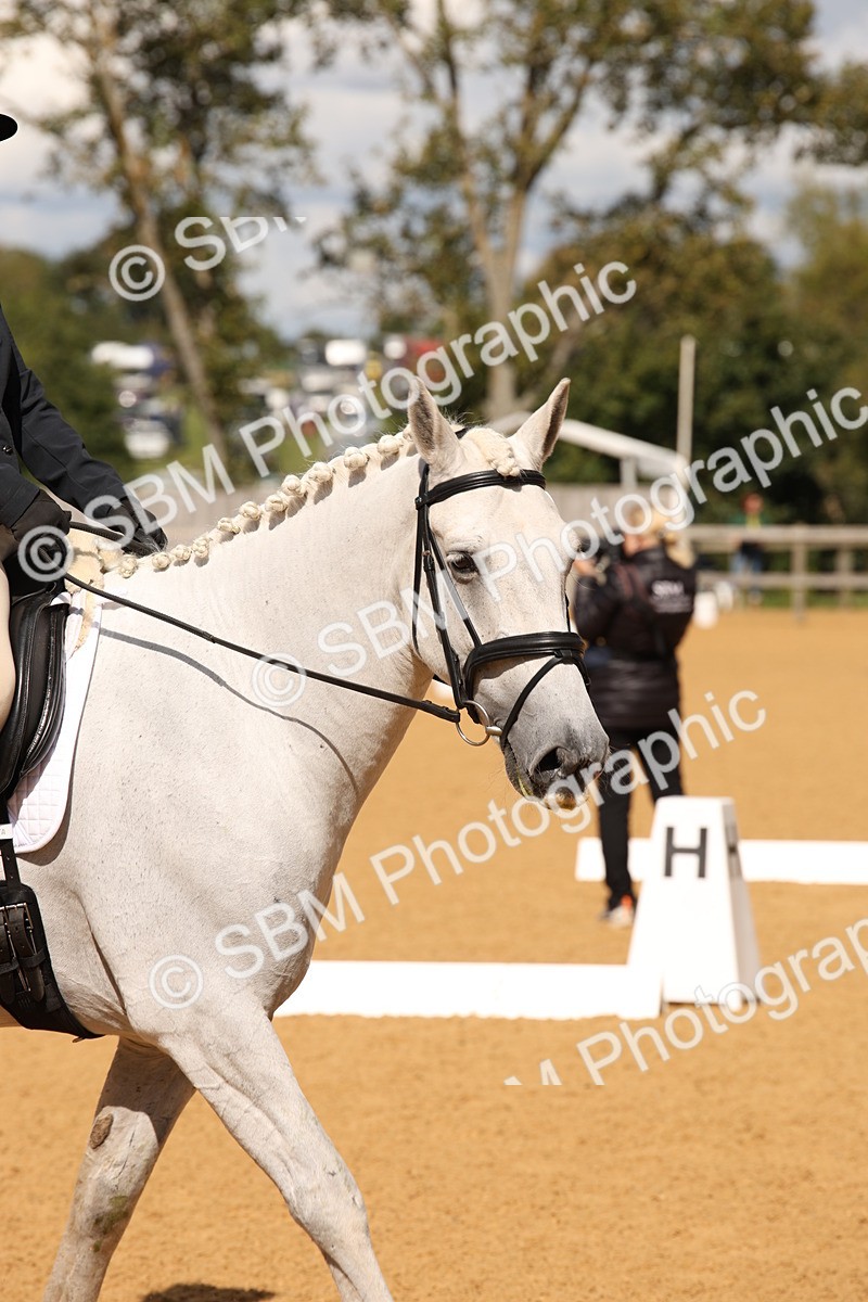 SBM_06857 - D8 Small Tour Championship Prelim 7
