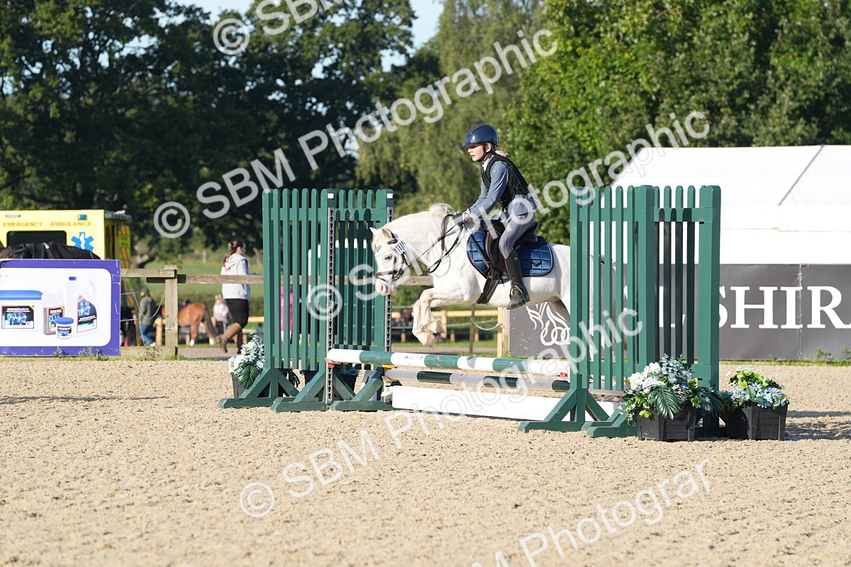 SBM_34384 - J62 - Clear Round 50cm