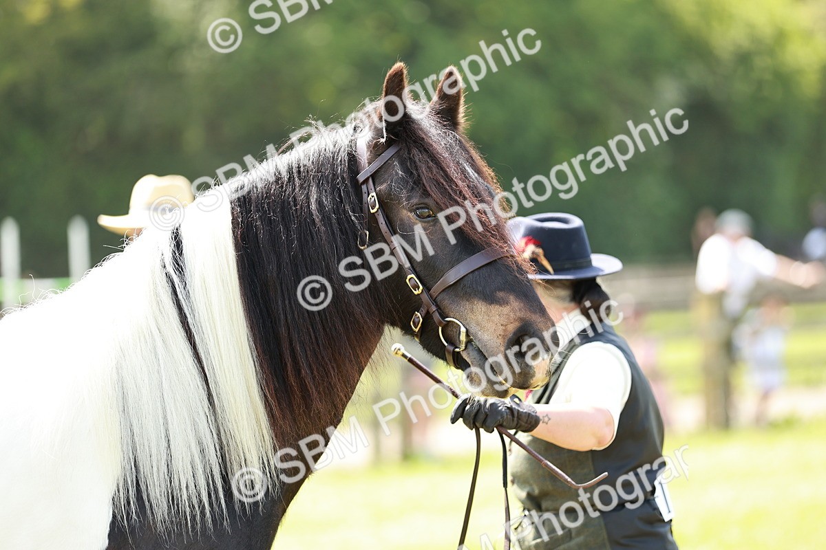 SBM_04173 - Class 39-40 - BSPA Coloured In Hand