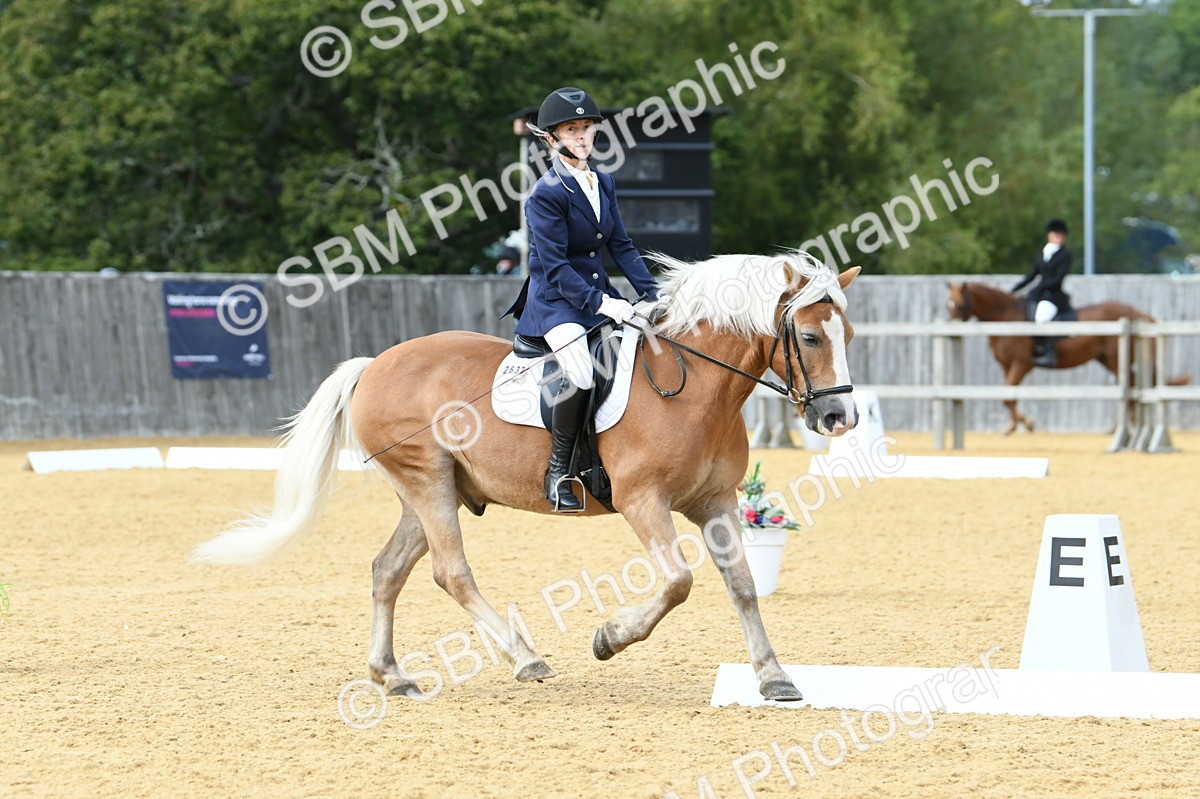 SBM_10905 - D28 Elementary Taster Elementary 42