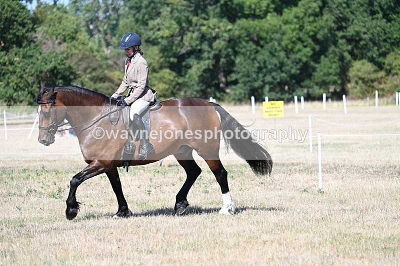 WJ7_3928 - Class 9 Mountain & Moorland Ridden