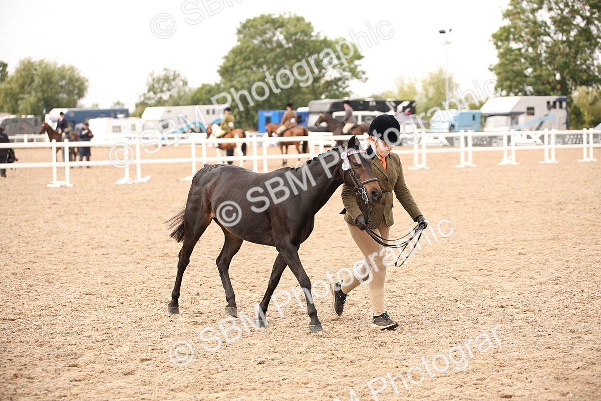 SBM_21480 - Class 706 - IH  Veteran