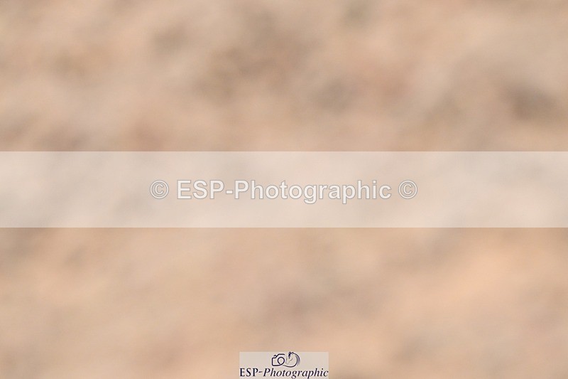 250621-125759-08504 - Cls 26 - Novice 5, 12 to 13.10