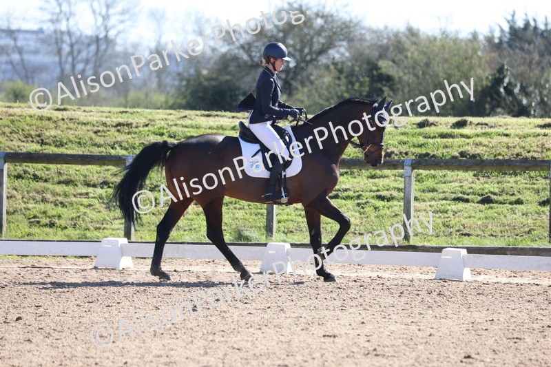 20260318-0550 - Class 5 - Novice 2