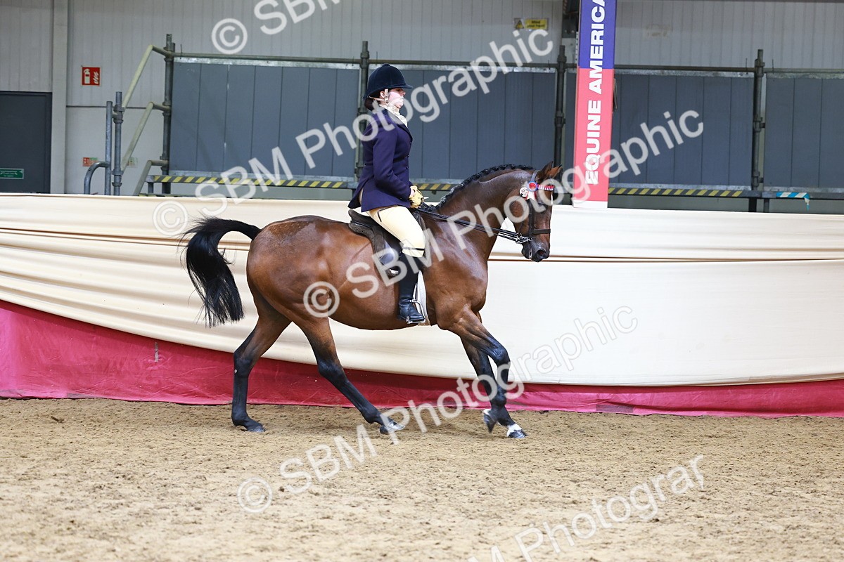 SBM_23716 - Class 905 - Supreme Final - Ridden Veteran