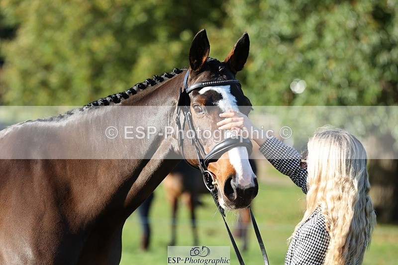 241027-091203-15110 - 351-Grace.Gillard-INDI