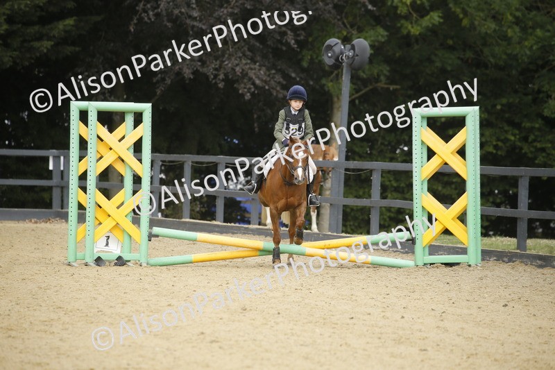 20250622-1501 - 40cm