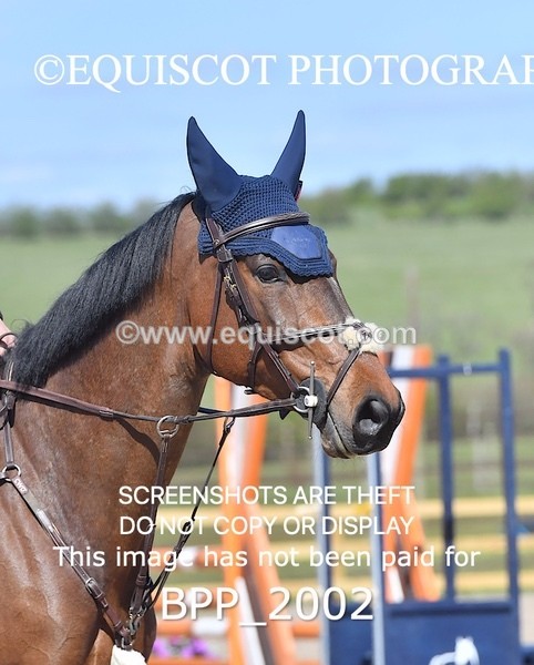 BPP_2002 - CLASS 20 SUN RHS Foxhunter Championship Qualifier