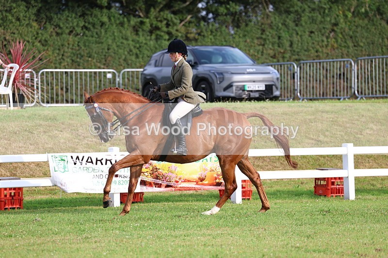 3E7A7822 - Class 1: Rising Star Small Hack/Riding Horses