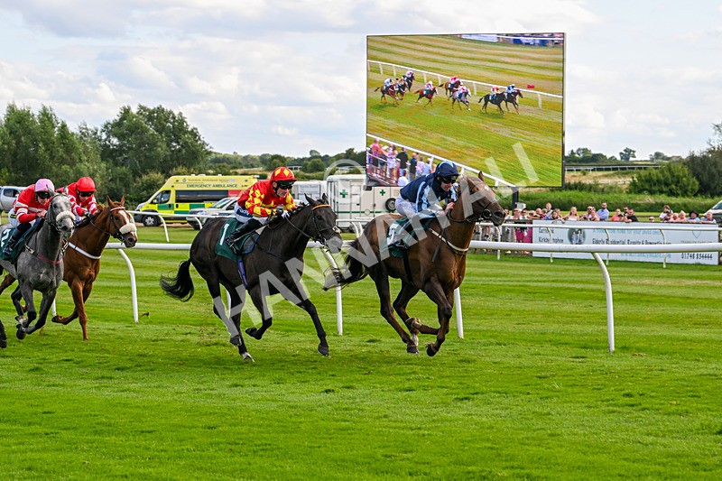 060824-Race 6-Golden Prosperity-3067 - Race 6