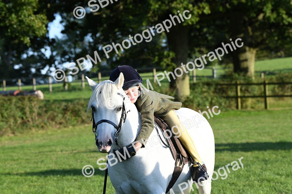 SBM_54157 - S23 - 1st Ridden Mountain & Moorland Pony