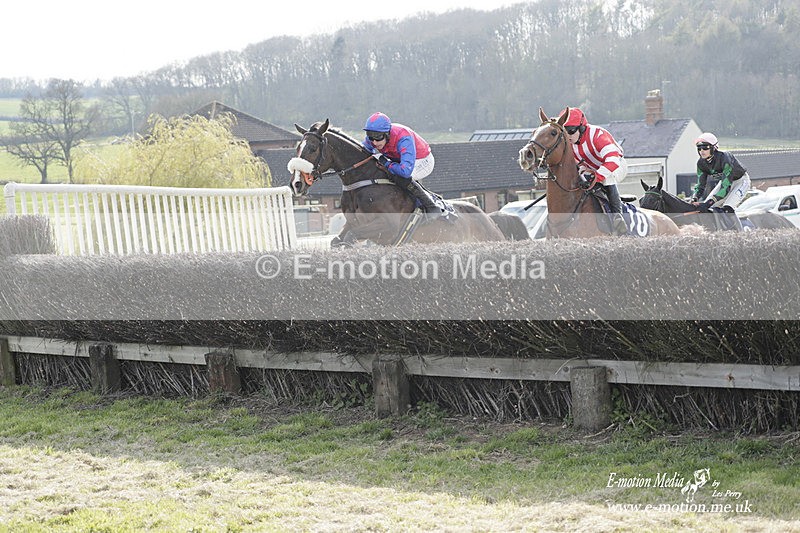 PtP 080423 765 - Dingley Races The Woodland Pytchley Hunt PtP 08/04/23