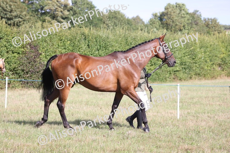 20260906-0670 - Class 22 - Ex Racehorse