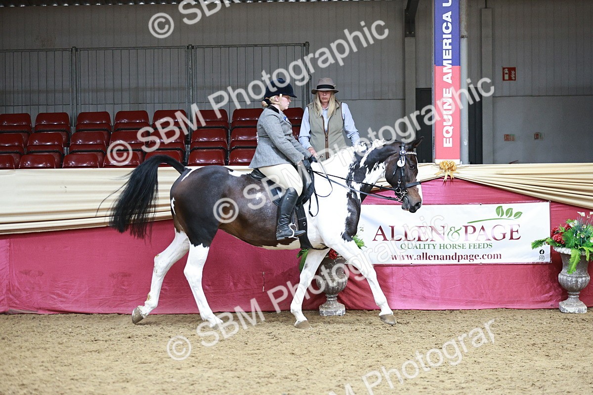 SBM_08781 - Class 12R - Regional Ridden Pre-Vet