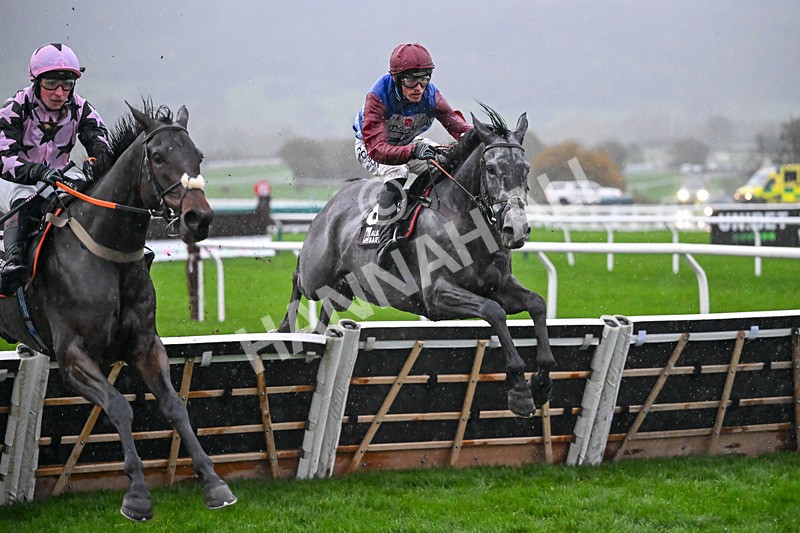 141125-Race 5-No Drama This End-0994 - Race 5