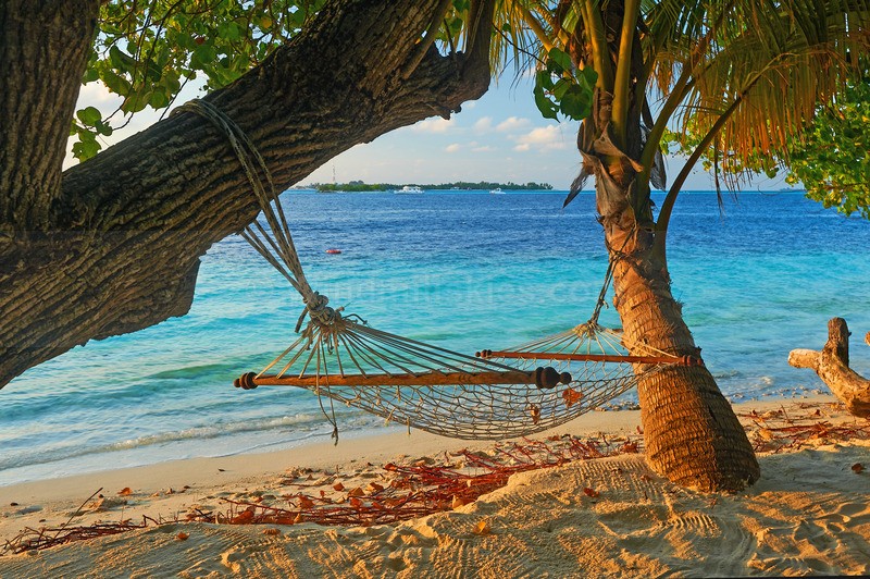0124_49 - Maldives