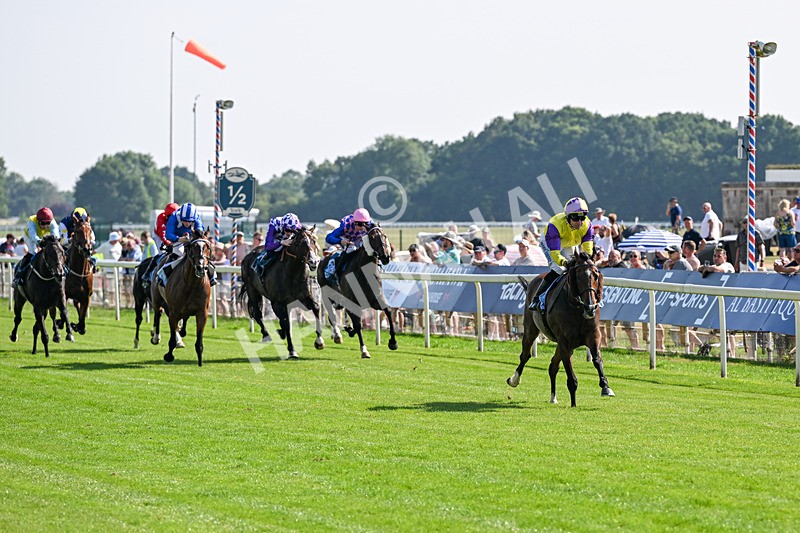 100726-Race 5-Dark Moon Rising-0409 - Race 5 16.30pm Azets Handicap