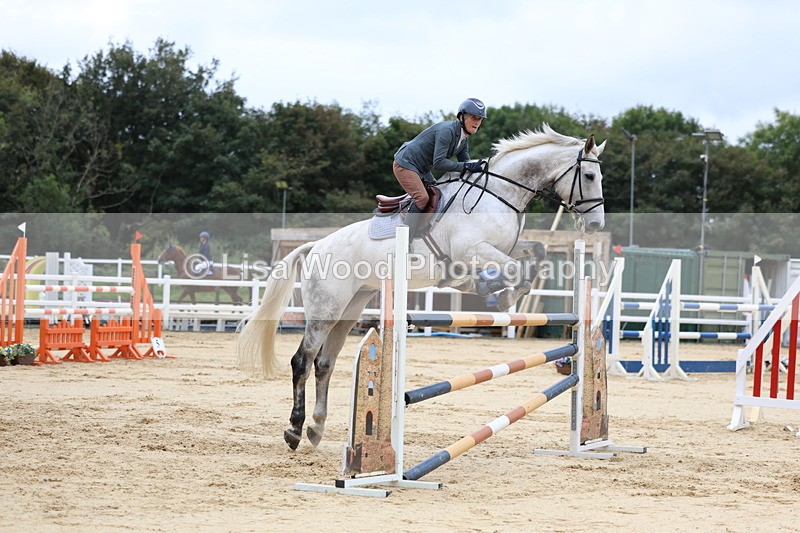 3E7A3237 - Class 9: Senior Foxhunter/1.20 open