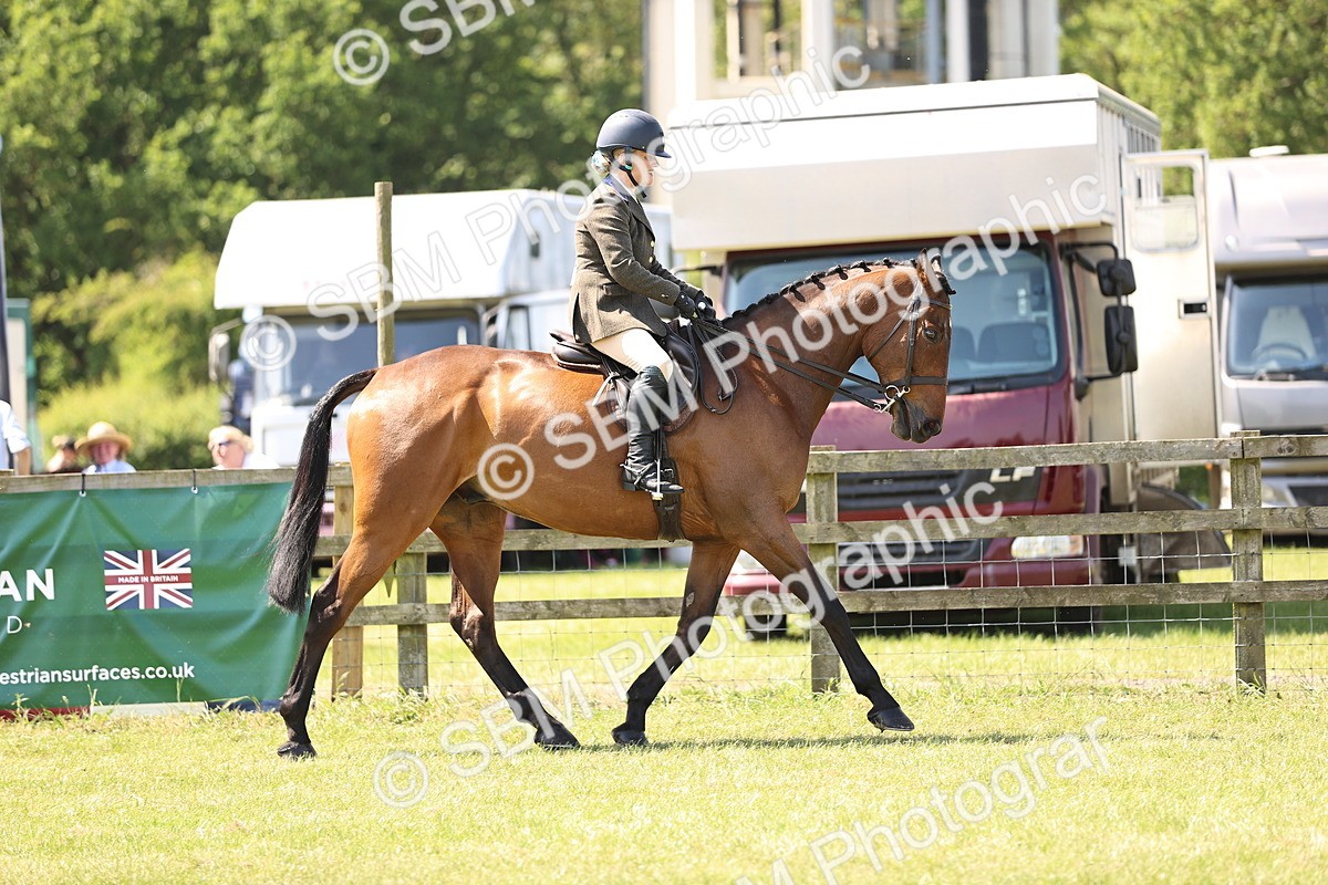 SBM_14834 - Class 78 - LIHS BSHA Open Racehorse & Show Horse