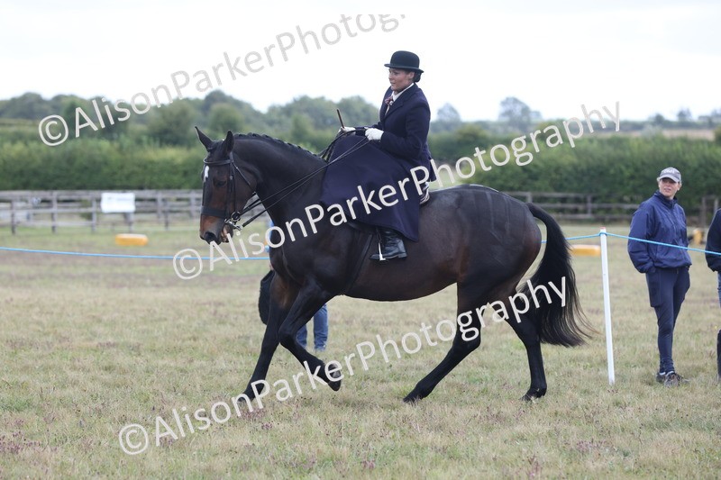 20250831-1200 - Class 15 - Ridden Veteran