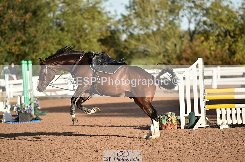 231015A-090706-06622 - Cls 22 British Novice & 90cm Open