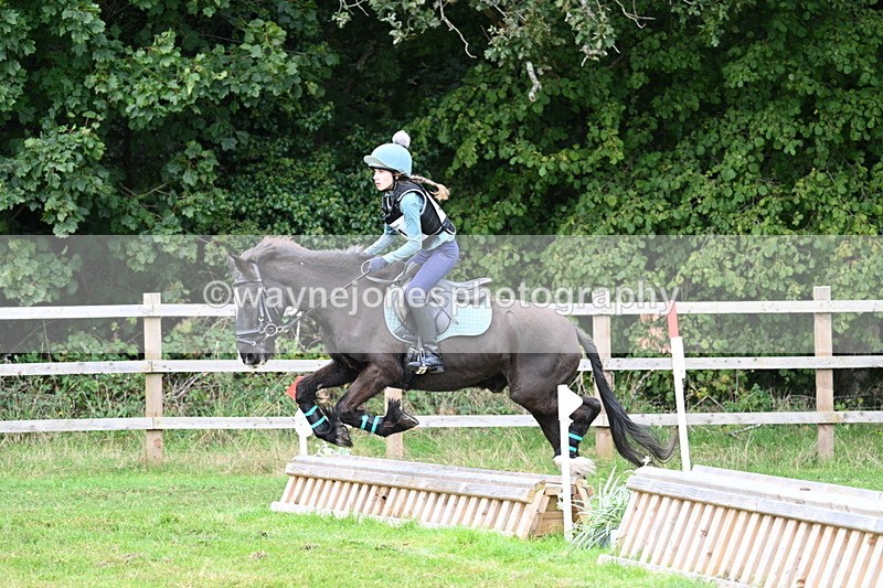 WJ7_7665 - 40cm Time 10:49 to 11:18