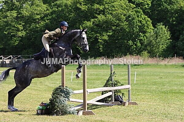 IMG_4595 - Working Hunter