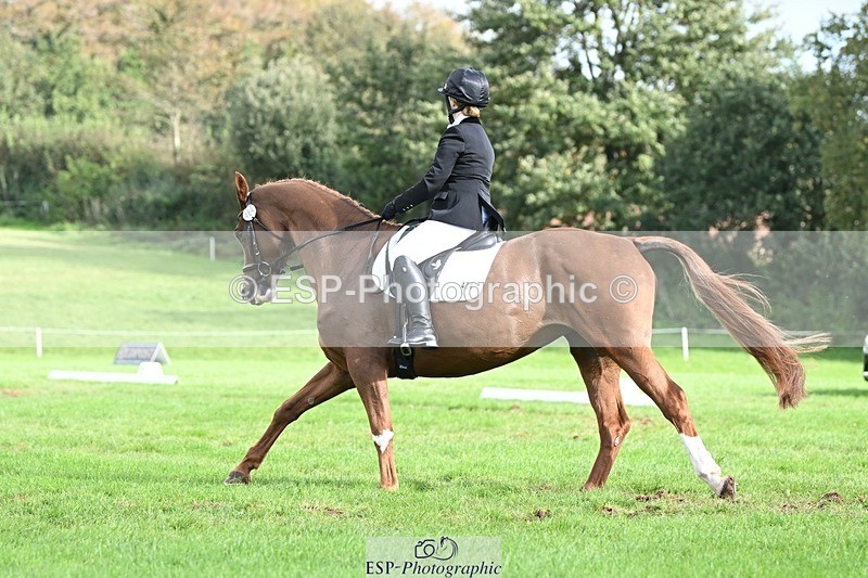 231020-121137-08022 - 484-JESATRAN.FIRECRACKER-Sally.Morton-DR