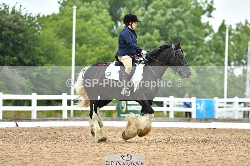 230708A-105153-02427 - Prelim 13