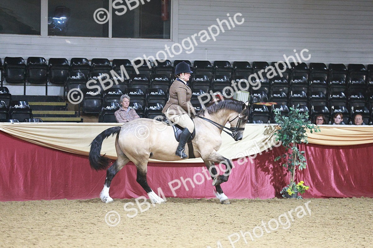 SBM_09021 - Class 12R - Regional Ridden Pre-Vet