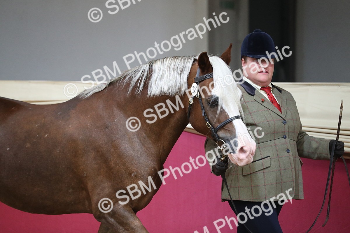 SBM_06217 - Class 9R Regional- IH Pre Vet