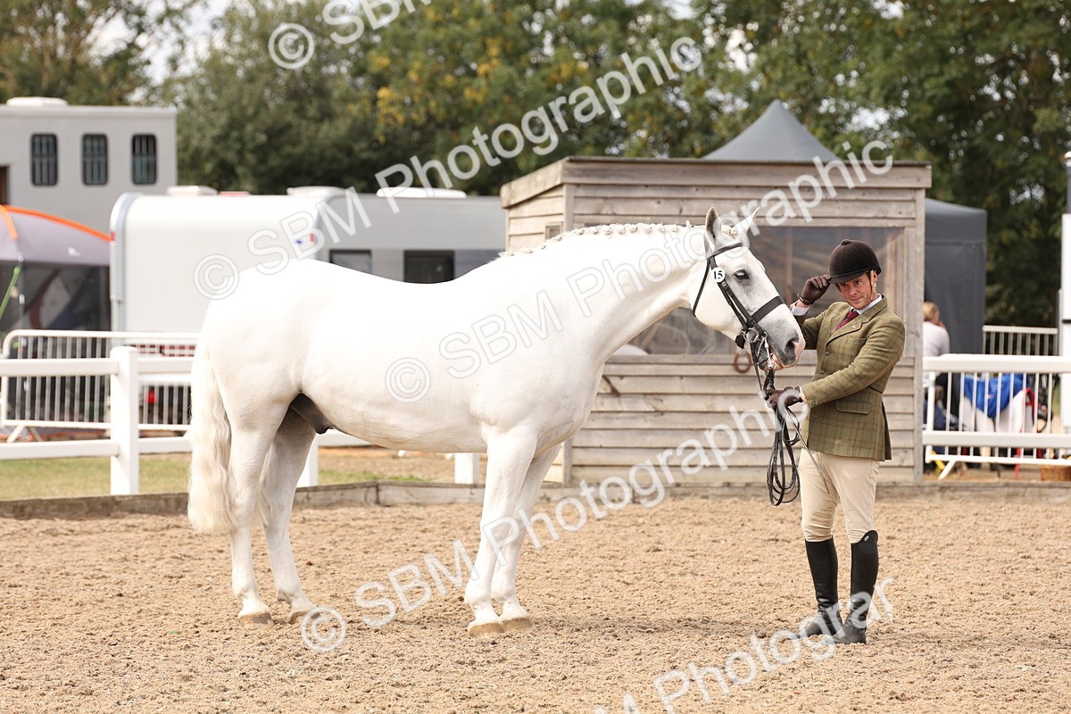 SBM_14648 - Class 208 - IH Veteran Horse