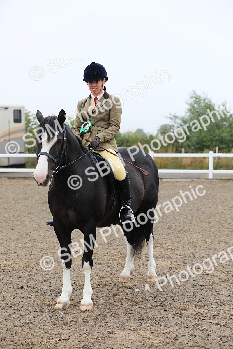 SBM_19979 - Class 801 - Ridden Veteran